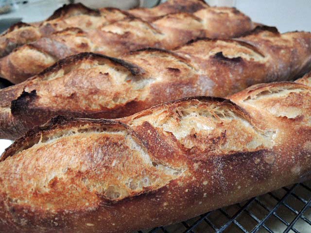 San Joaquin Sourdough Baguettes | The Fresh Loaf